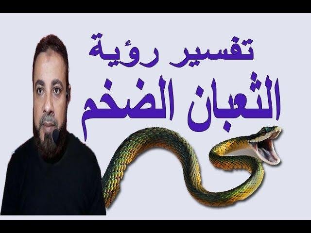 sddefault.jpg66d33541b1c8e - تفسير حلم رؤية ثعابين كبيرة