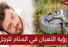 17301942193748202309151016471647.jpg66efb4f7c79dd 220x150 - تفسير حلم افعى سوداء تعضني