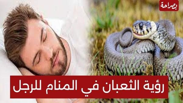 17301942193748202309151016471647.jpg66efb4f7c79dd - تفسير حلم افعى كبيرة