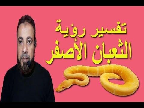 hqdefault - تفسير حلم ثعبان طويل اصفر