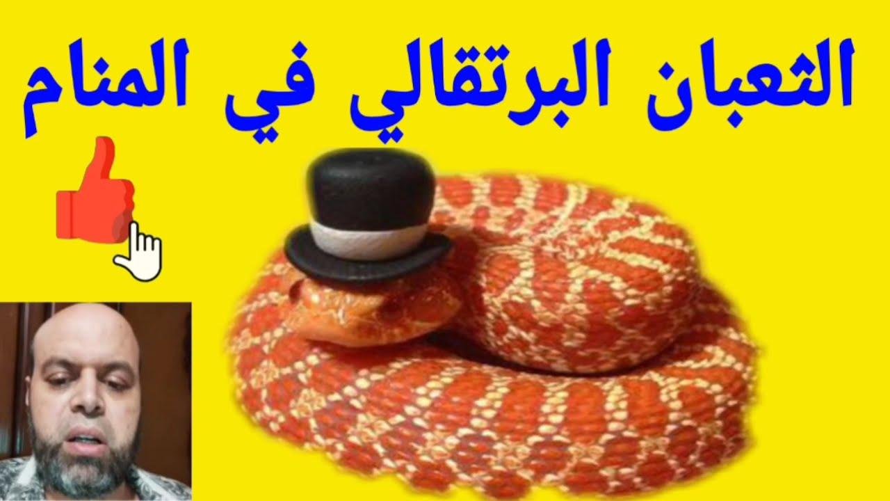 maxresdefault.jpg66eb41106d203 - تفسير حلم ثعبان برتقالي اللون