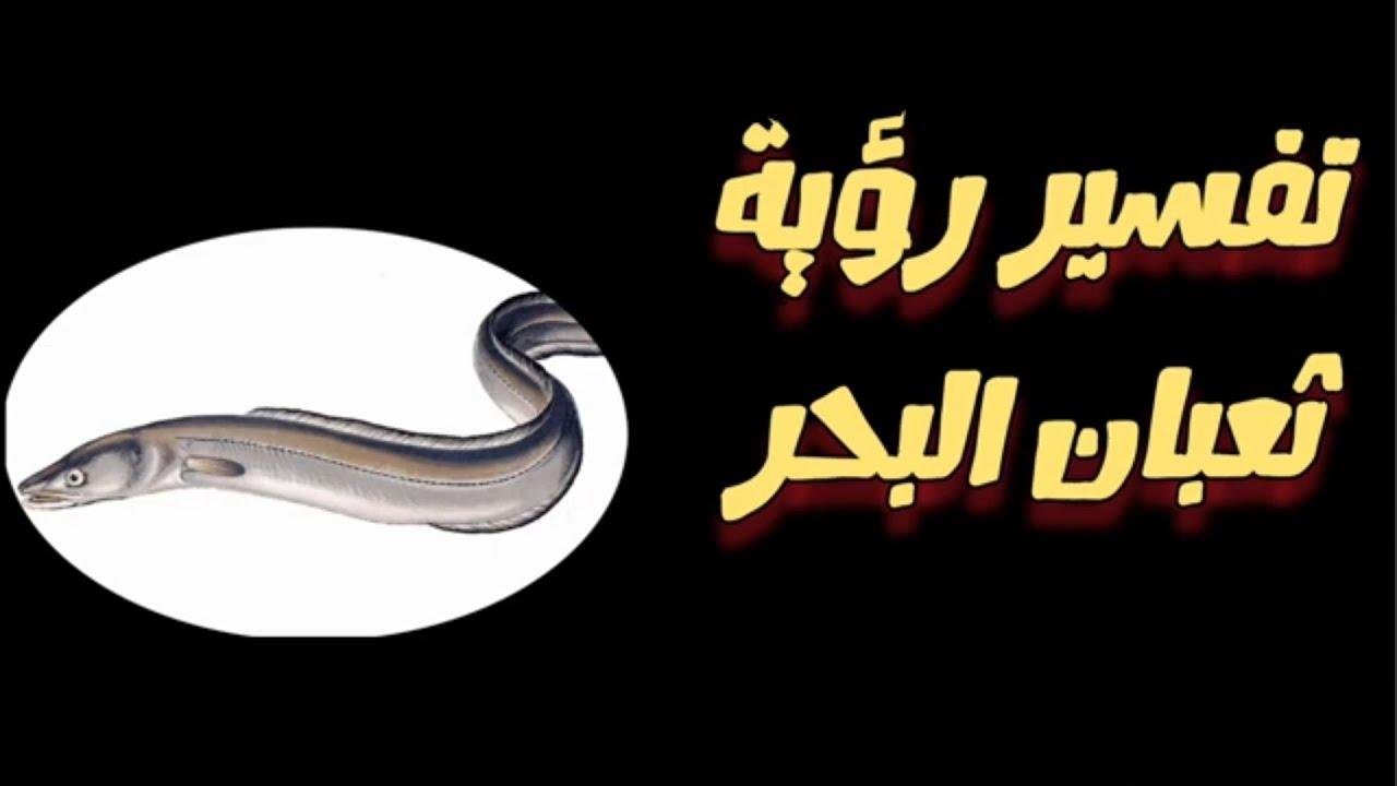 maxresdefault.jpg66f642e06aea1 - تفسير حلم ثعبان البحر يهاجمني