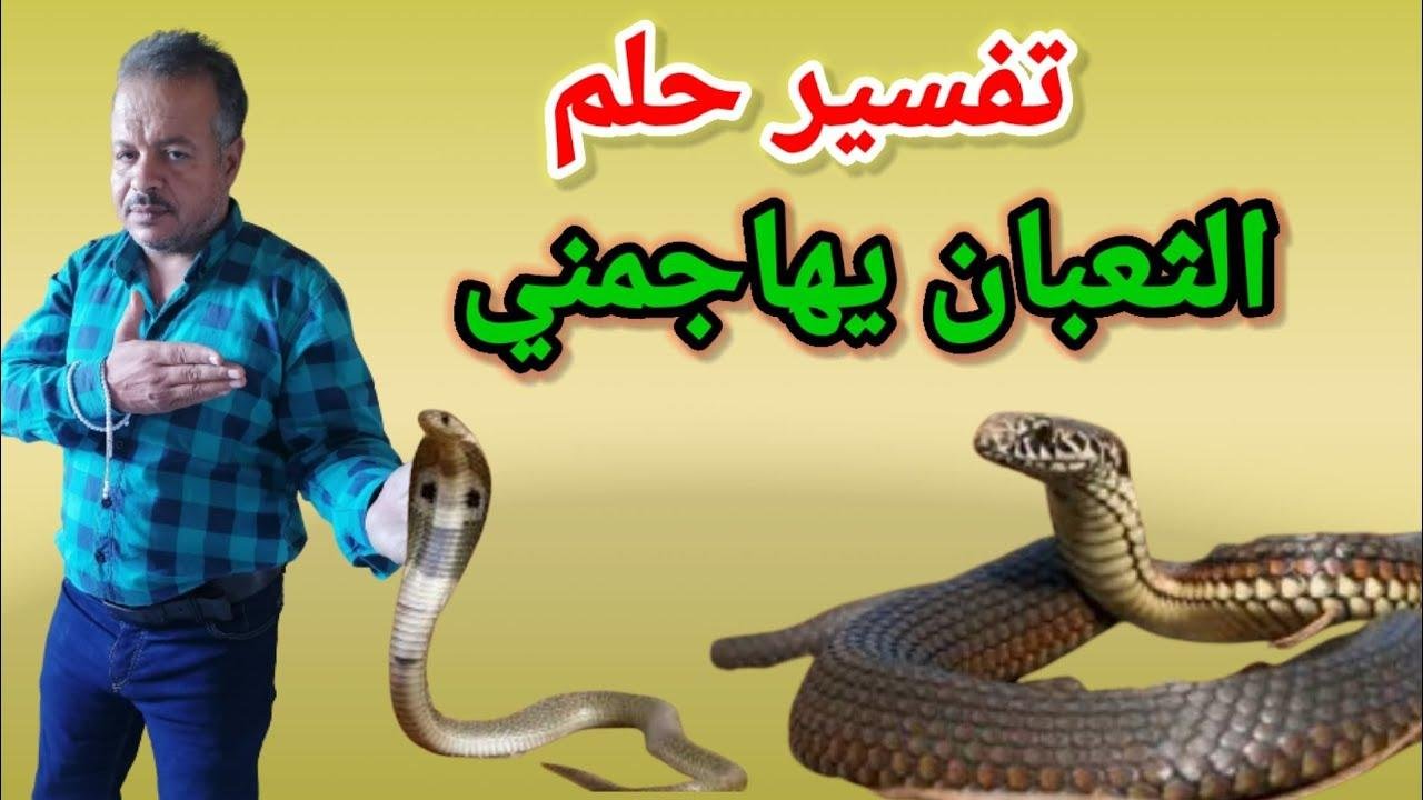 maxresdefault.jpg66f7aa2fea07e - تفسير حلم ثعبان كبير يهاجمني