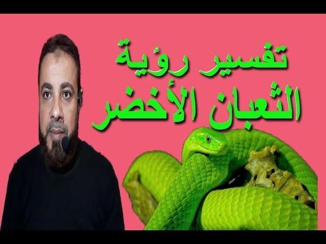 sddefault.jpg6647584523ef3 - تفسير حلم وجود ثعابين في غرفة النوم