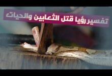 sddefault.jpg66ea1db86d760 220x150 - تفسير حلم ثعبان صغير في الحمام