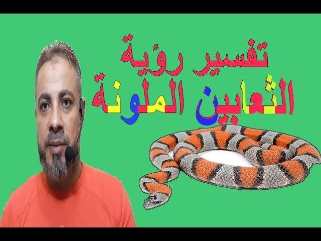 sddefault.jpg66eb7ac462ac6 - تفسير حلم ثعبان ملون للعزباء