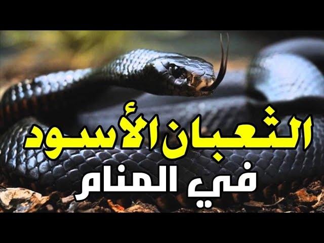 sddefault.jpg66ebb50fecc7a - تفسير حلم شراء ثعابين سوداء