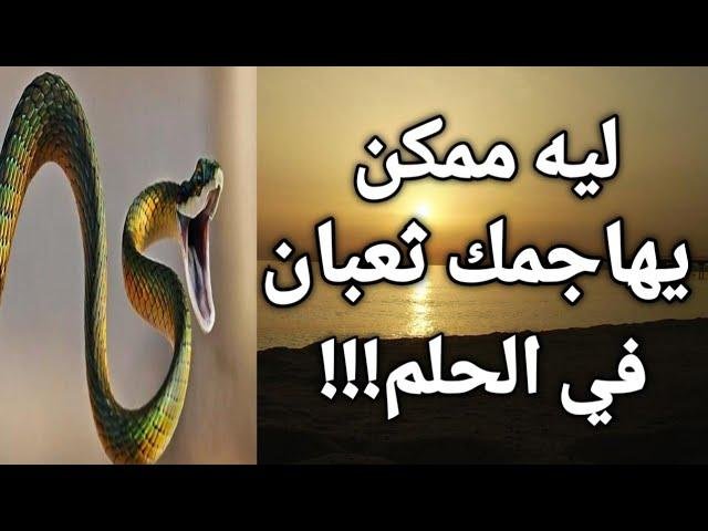 sddefault.jpg66ee3c1ac1285 - تفسير حلم ثعبان قرصني في رجلي للعزباء