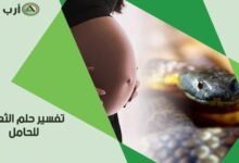 serpent for pregnant 220x150 - تفسير حلم ثلاث ثعابين للحامل
