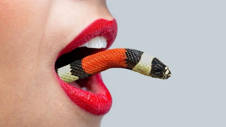 snake enter body - تفسير حلم ثعبان يدخل جسمي