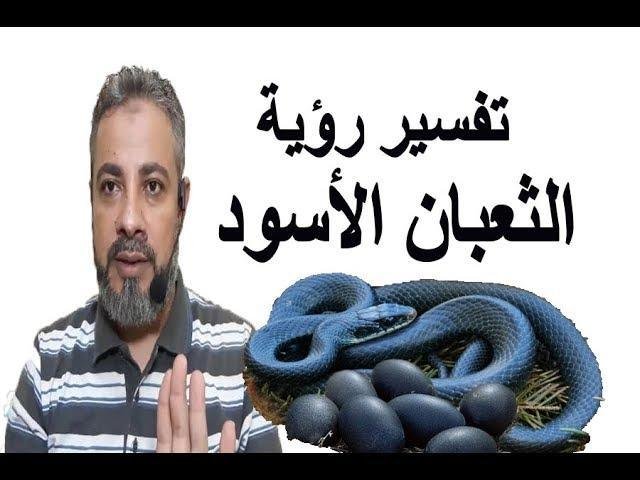 sddefault.jpg67b2e0fbf191c - تفسير حلم ثعبان كبير اسود