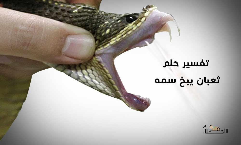 25D8 25A7 25D8 25AD 25D9 2584 25D8 25A7 25D9 2585 21 - تفسير حلم ثعبان يبخ سمه في الوجه: رموز خفية؟