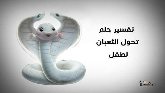 25D8 25A7 25D8 25AD 25D9 2584 25D8 25A7 25D9 2585 39 7e2rxje1842fw7lc5gca5v3qrjs8dfkekuwu474cklz.jpg688bee8b525f4 - تفسير حلم أفعى وقطة: لغزٌ من عالم الأحلام