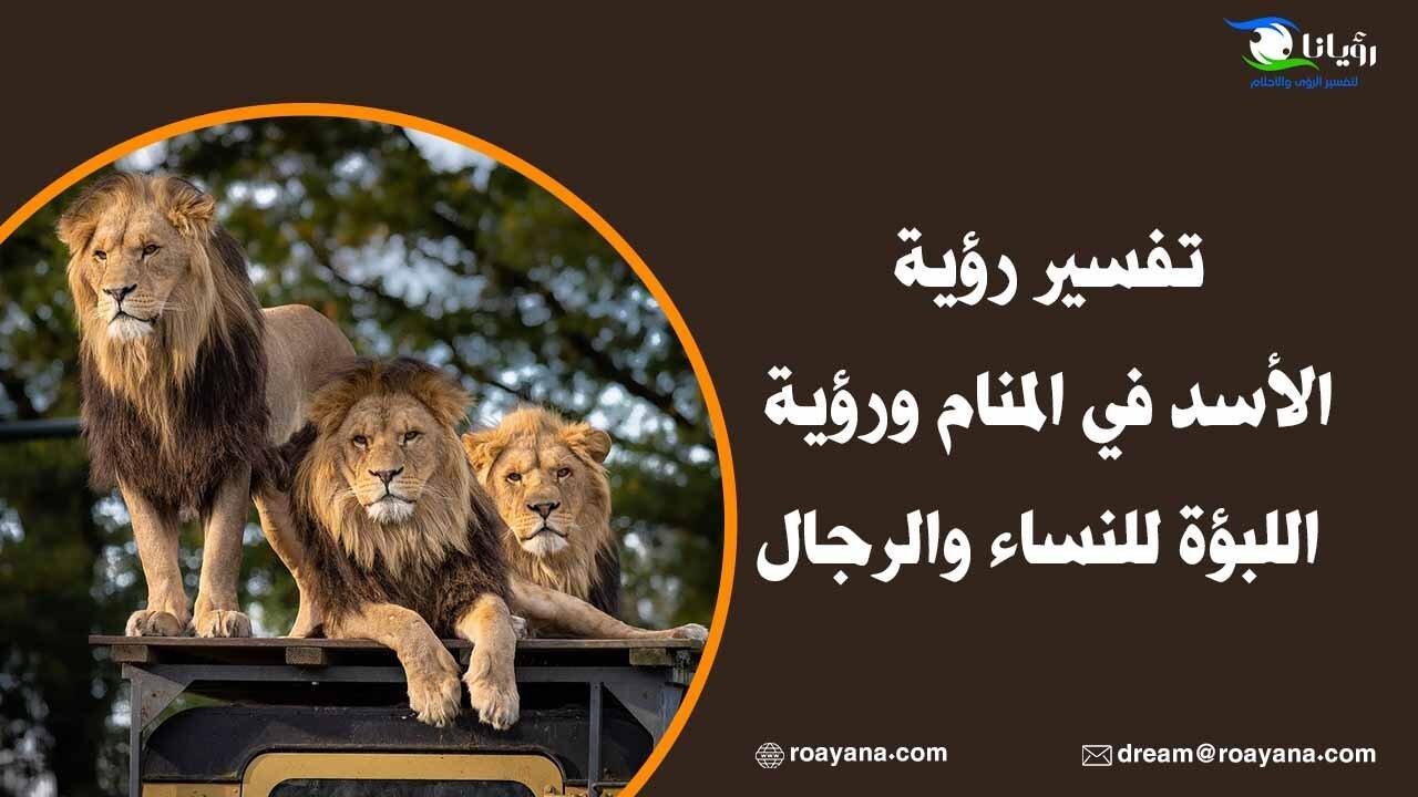 25D8 25A7 25D9 2584 25D8 25A3 25D8 25B3 25D8 25AF  25D9 2581 25D9 258A  25D8 25A7 25D9 2584 25D9 2585 25D9 2586 25D8 25A7 25D9 2585.jpg6880330452528 - أسرار رؤية الأسد في منام الحامل: ماذا تحمل؟