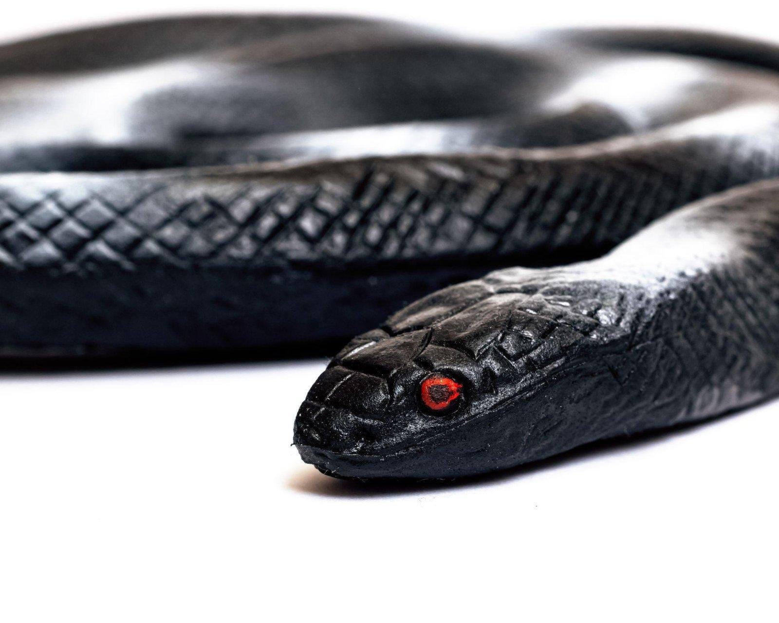 25D8 25A7 25D9 258A 25D8 25B4  25D8 25AA 25D9 2581 25D8 25B3 25D9 258A 25D8 25B1  25D8 25AD 25D9 2584 25D9 2585  25D8 25A7 25D9 2584 25D8 25AB 25D8 25B9 25D8 25A8 25D8 25A7 25D9 2586.jpg688bd1323d42c - تفسير حلم رؤية ثعبان اسود: رموز خفية تكشفها الأحلام