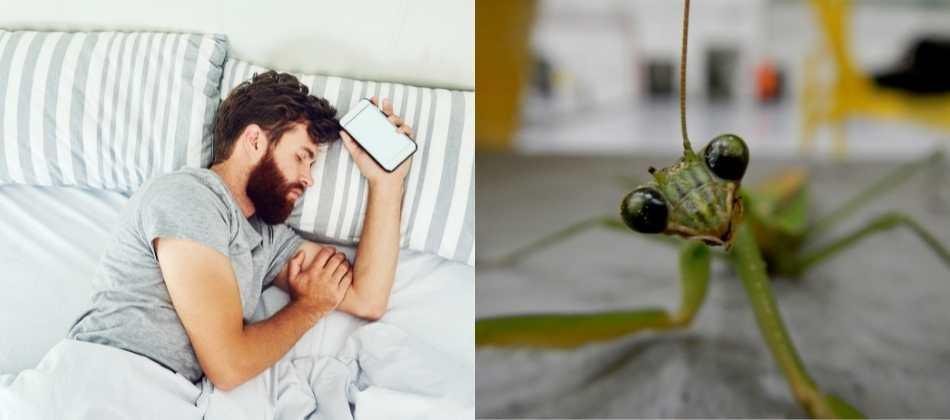 25D8 25AA 25D9 2581 25D8 25B3 25D9 258A 25D8 25B1  25D8 25AD 25D9 2584 25D9 2585  25D8 25A7 25D9 2584 25D8 25AD 25D8 25B4 25D8 25B1 25D8 25A7 25D8 25AA  25D8 25B9 25D9 2584 25D9 2589  25D8 25AC 25D8 25B3 25D9 2585 25D9 258A.jpg688b643cb3c20 - تفسير حلم خروج حشرات من يدي: رموز وأبعاد مخفية