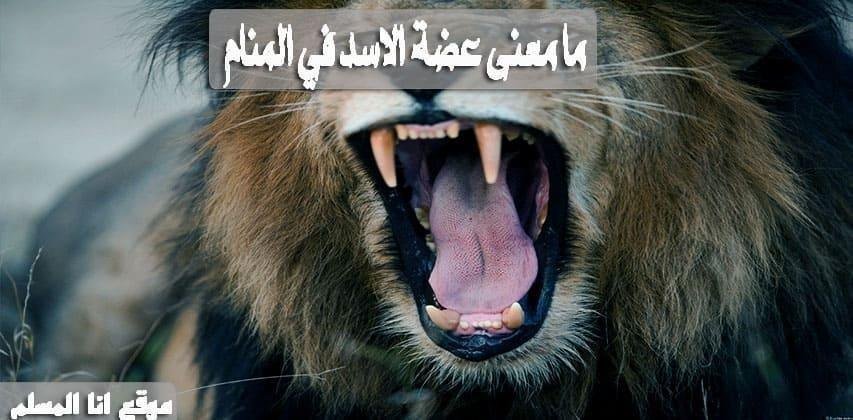 هجوم الأسد في المنام: رموز مُحيّرة وغامضة 25D9 2585 25D8 25A7  25D9 2585 25D8 25B9 25D9 2586 25D9 2589  25D8 25B9 25D8 25B6 25D8 25A9  25D8 25A7 25D9 2584 25D8 25A7 25D8 25B3 25D8 25AF  25D9 2581 25D9 258A  25D8 25A7 25D9 2584 25D9 2585 25D9 2586 25D8 25A7 25D9 2585 1.jpg6648e6338e1ff - هجوم الأسد في المنام: رموز مُحيّرة وغامضة