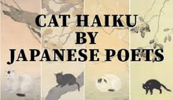 1106 cats - تفسير حلم ضرب قطة حتى الموت: رمزية صادمة؟