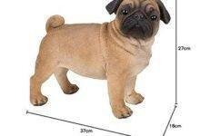 11145 d8aad981d8b3d98ad8b1 d8add984d985 d8b1d8a4d98ad8a9 d983d984d8a8 d8b6d8aed985 d8b1d985d988d8b2 d8aed981d98ad8a9 d8aad983d8b4d981d987d8a7 220x150.jpg687f24a4646b8 - تفسير حلم نباح كلب: همس الكلاب في منامك