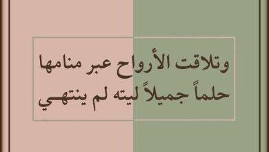 تفسير حلم ثعبان غير مؤذي: رموز خفية؟