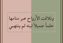 تفسير حلم هدية قطة بيضاء: رمزٌ من عالم الأحلام؟