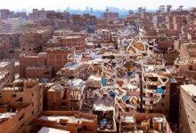 زئير الجوع: ماذا يعني حلم الأسد الجائع؟