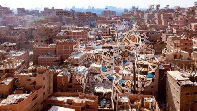 زئير الجوع: ماذا يعني حلم الأسد الجائع؟