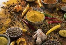 تفسير حلم حشرات في الطعام: رموز خفية تكشفها لك