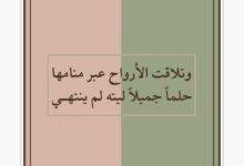 تفسير حلم أفعى ضخمة جداً: رموز خفية؟