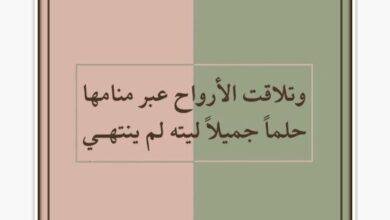 تفسير حلم أفعى ضخمة جداً: رموز خفية؟