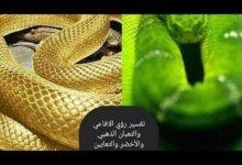 تفسير حلم ثعبان ذهبي للمتزوجه: دلالات ورموز مخفية