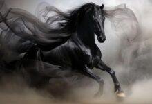 14326 d8aad981d8b3d98ad8b1 d8add984d985 d8add8b5d8a7d986 d8b1d985d8a7d8afd98a d98ad987d8a7d8acd985d986d98a d8b1d985d988d8b2 d8a7d984d8aed988 220x150 - تفسير حلم حصان ابيض صغير: رمز البراءة والأمل؟