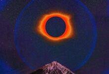 14333 d8aad981d8b3d98ad8b1 d8add984d985 d8add8b4d8b1d8a7d8aa d8aad8aed8b1d8ac d985d986 d8acd8b1d8ad d8b1d985d988d8b2 d8aed981d98ad8a9d89f 220x150 - تفسير حلم نزول حشرات من السماء