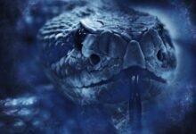 تفسير حلم رؤية ثعبان كبير: رموز خفية تكشفها الأحلام