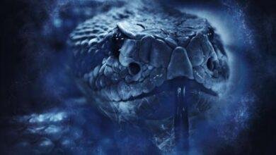 d8aad981d8b3d98ad8b1-d8add984d985-d8b1d8a4d98ad8a9-d8abd8b9d8a8d8a7d986-d983d8a8d98ad8b1-d8b1d985d988d8b2-d8aed981d98ad8a9-d8aad983d8b4.jpg تفسير حلم رؤية ثعبان كبير: رموز خفية تكشفها الأحلام