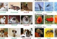 تفسير حلم كلب جائع: رموز خفية تكشفها النفس