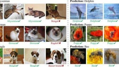 تفسير حلم كلب جائع: رموز خفية تكشفها النفس