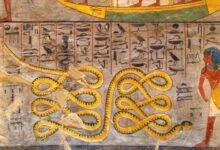 تفسير حلم ثعبان يأكل سلحفاة: رموز خفية؟