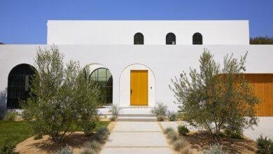 تفسير حلم قطة تحاول دخول البيت: رسائل للعزباء؟