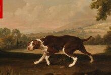 14652 d8aad981d8b3d98ad8b1 d8add984d985 d8acd8b1d8a7d8a1 d983d984d8a7d8a8 d8b1d985d988d8b2 d8a8d8b1d98ad8a6d8a9 d8a3d985 d985d8aed8a7d988d981 220x150 - تفسير حلم كلبة بيضاء