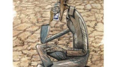 تفسير حلم دخول قطة: رمزٌ مُبهم أم رسالة؟