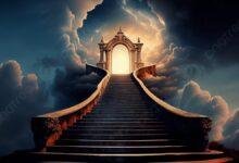 14677 d8aad981d8b3d98ad8b1 d8add984d985 d8abd984d8a7d8ab d983d984d8a7d8a8 d8b3d988d8afd8a7d8a1 d8b1d985d988d8b2d98c d985d98fd8a8d987d985d8a9 220x150 - تفسير حلم كلب يتحول الى ذئب