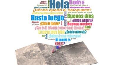 تفسير حلم مساعدة قطة صغيرة: رمز للشفاء؟