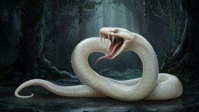 تفسير حلم ثعابين تطاردني للرجل: رموز ودلالات مخفية