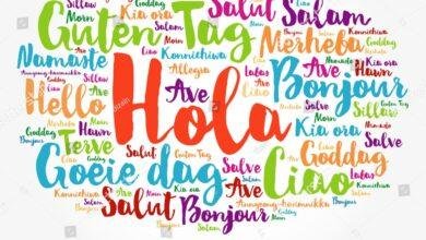 تفسير حلم هدية قطة بيضاء للعزباء: رمزٌ غامض؟