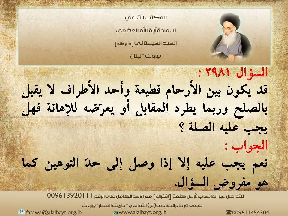 2981 - تفسير حلم غسل قطة: رسائل مائية للمتزوجة؟
