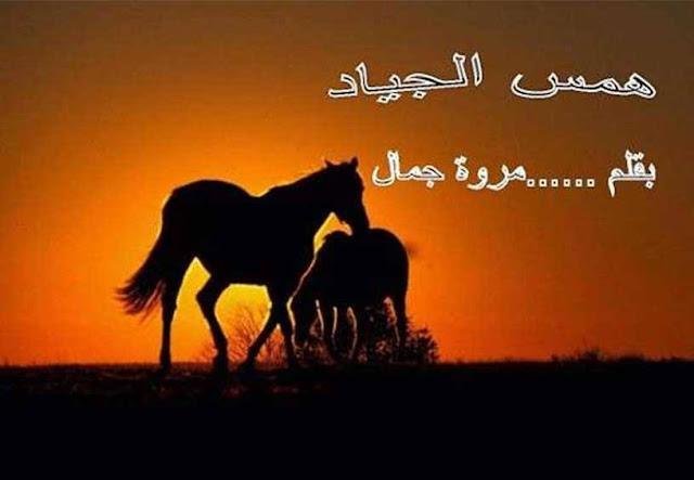 67669982 1009220589248167 3631075333265948672 n.jpg68853583e1049 - تفسير حلم حصان اسود صغير: همسُ الظلام في المنام