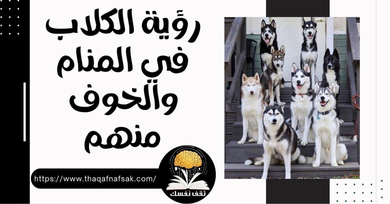869914656 - تفسير حلم كلب يقتل قطة: رموز خفية؟