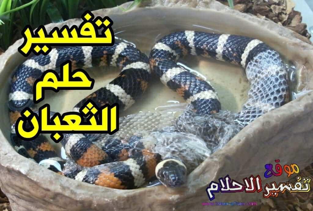 Interpretation of the dream of a snake in a dream - تفسير حلم سقوط ثعبان من السقف: رمز مخفي؟