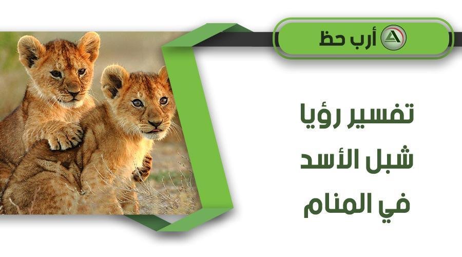 Lion cub in dream.jpg6882071215fae - شبل أسد أبيض في المنام: رمزٌ ينتظر التفسير